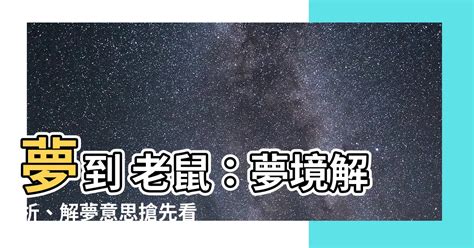 夢到老鼠|解讀夢境：夢到老鼠的預兆與寓意 